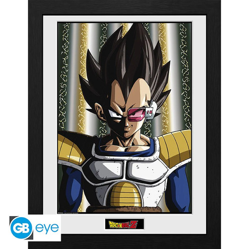 Dragon ball framed - dragon,